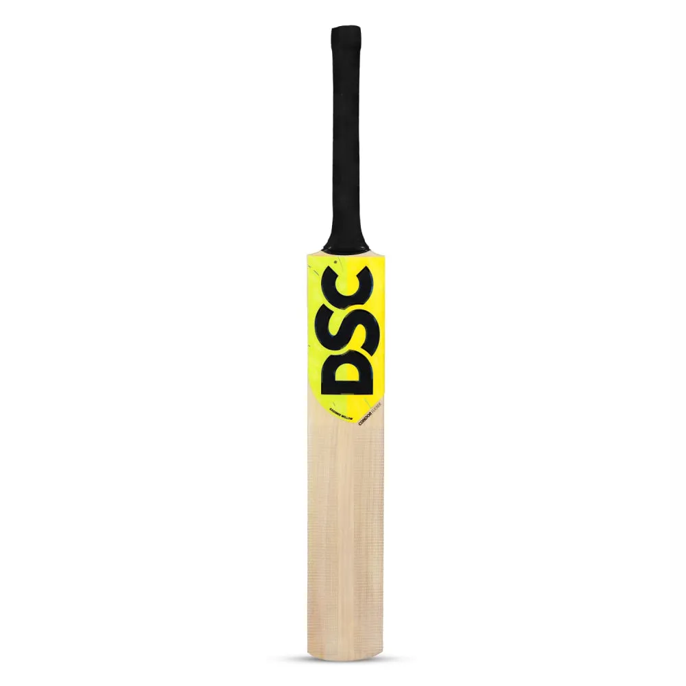 DSC Condor Flicker Cricket Bat SH