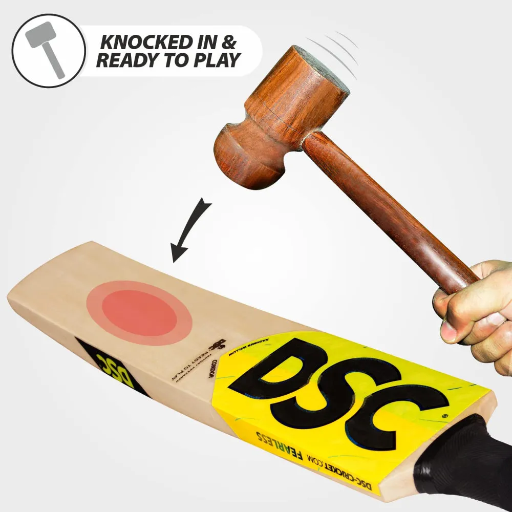 DSC Condor Flicker Cricket Bat SH