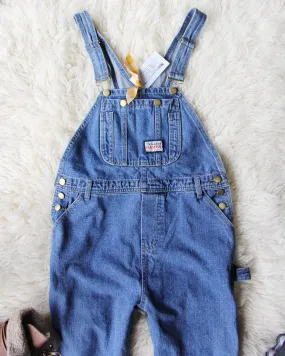 The Carpenter Overalls