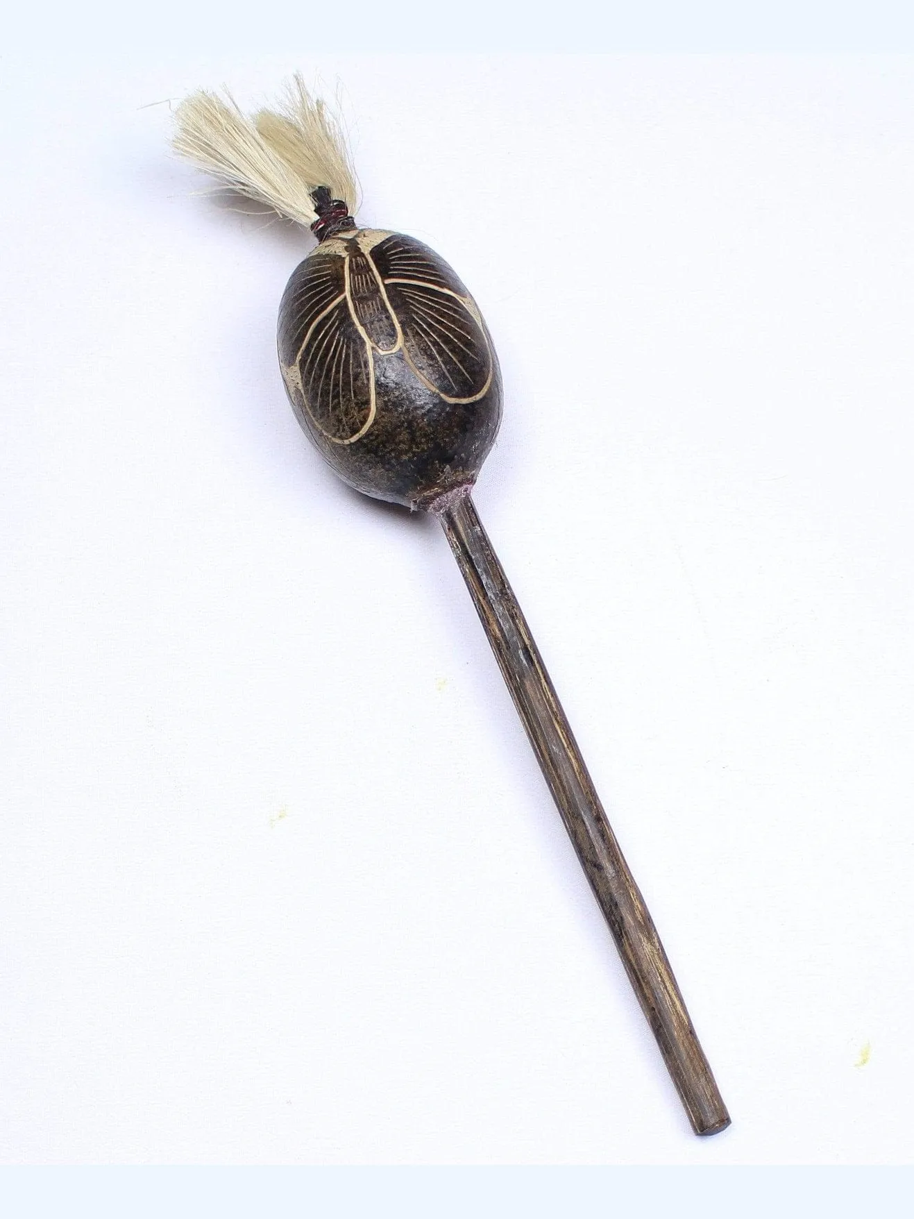 Tufted Gourd Rattle from Peruvian Amazon